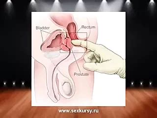 Free G Spot Porn Videos Xhamster