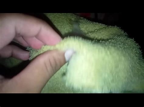 Comadre Golosa Se Mete En Mi Cama Y Saca Mi Semen XVIDEOS