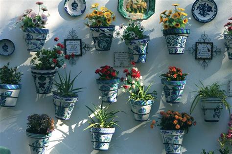 Cómo decorar con plantas tu casa: 9 consejos | AQ-Acentor