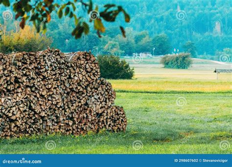 Stacked Chopped Firewood Natural Wood Texture Royalty Free Stock
