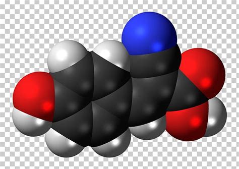 Alpha Cyano Hydroxycinnamic Acid Phenylpropanoid Matrix Assisted