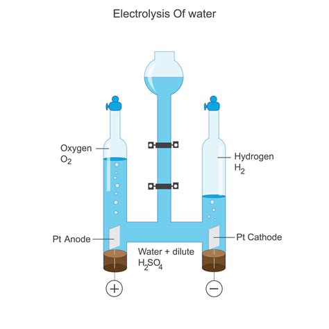 Electrolysis of water 27798636 Vector Art at Vecteezy 