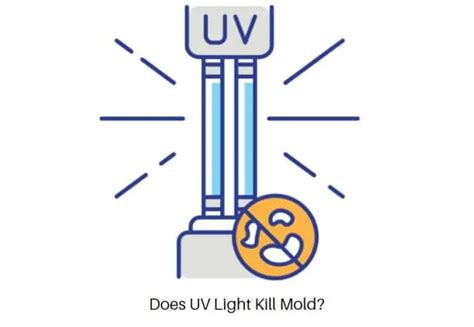Does Uv Light Kill Mold Heres How It Works Airlucent