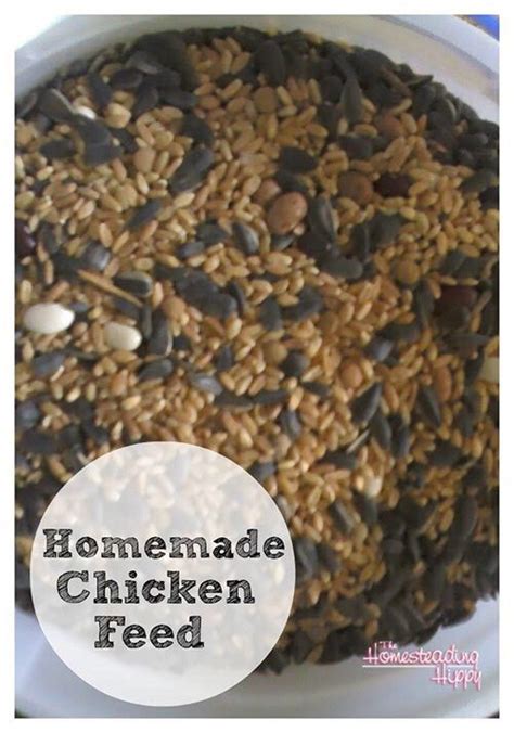 How To Make Your Own Chicken Feed Chicken Feed Homemade Chicken Feed