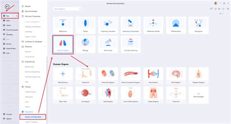 Human Anatomy Complete Guide EdrawMax