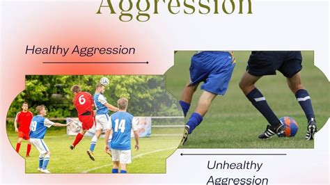 causes of aggression in athletes | Sports Digest