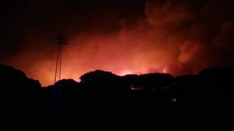 Un Incendio Forestal En Moguer Obliga A Desalojar A 400 Personas