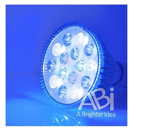 Using An Abi Led Aquarium Royal Blue Nm Cold White K Actinic