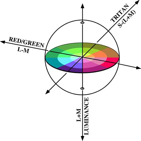 Dkl Three Dimensional Color Space Redgreen Is Underlain By L M Cone