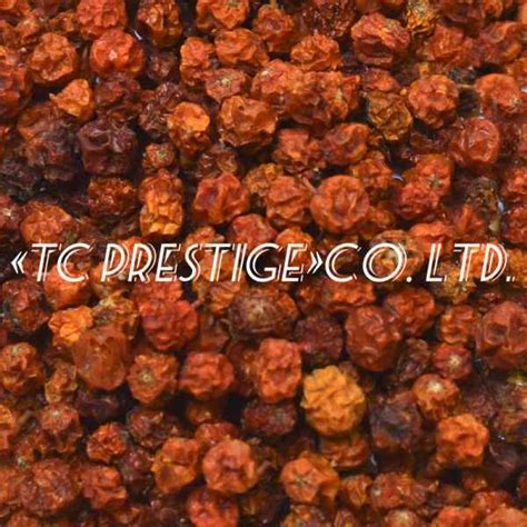 Купить Рябина обыкновенная (красная) сушеная оптом