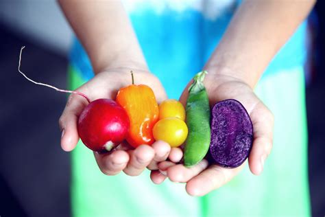 Nutritional Psychiatry A Primer For Clinicians 8