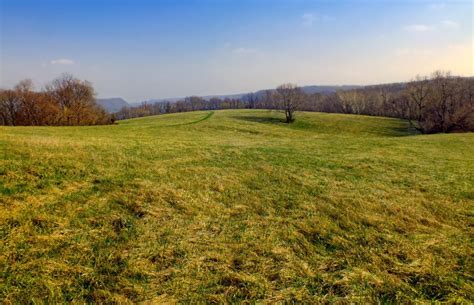 Free Images Landscape Tree Forest Path Marsh Wilderness Plant