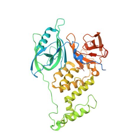 Gene Q96SW2 Protein CRBN Overview CanSAR Ai