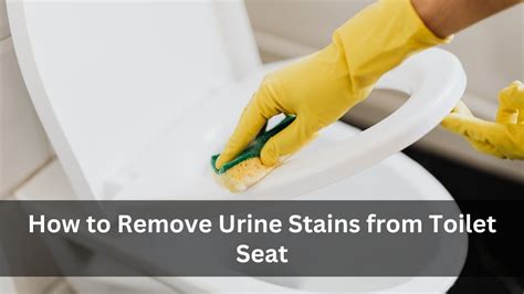 How To Remove Urine Stains From Toilet Seat YouTube