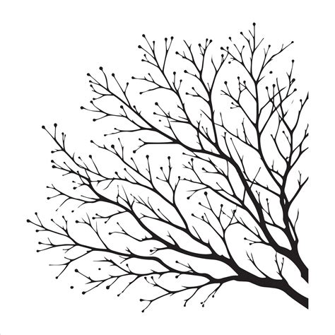 Minimal Autumn Naked Tree Vector Silhouette 36286116 Vector Art At Vecteezy