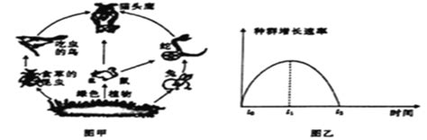 题目 图甲表示某农田生态系统的食物网图乙表示某草原生态系统中的蒙古兔在一段时间内的种群增长速率变化曲线据此回答下列问题1该农田生态