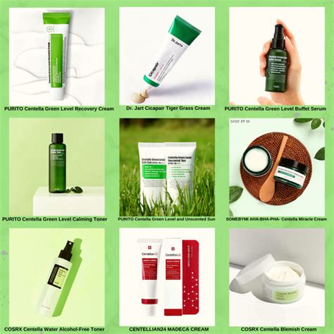 Skincare 101: What is Centella? – Beauty Korea Dubai