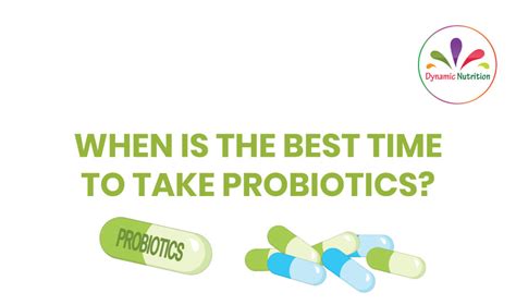 When Is The Best Time To Take Probiotics Dynamic Nutrition