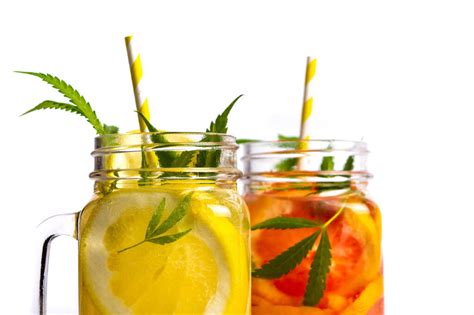 Cannabis Infused Drink Recipes Perfect For Any Occasion