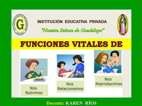 Funciones Vitales Ppt Descarga Gratuita