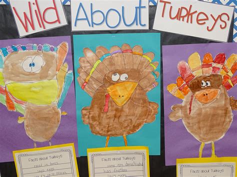 Turkey Facts | Turkey facts, Turkey, Graphic organizers