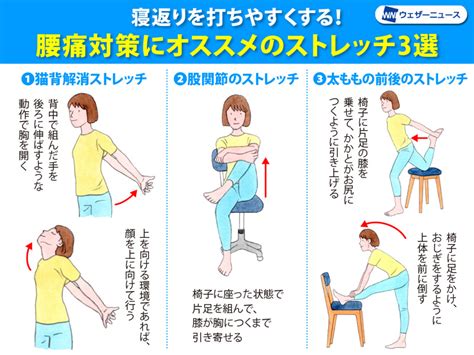 腰痛対策のポイントは「寝返り」 腰痛対策の簡単ストレッチ3選｜infoseekニュース