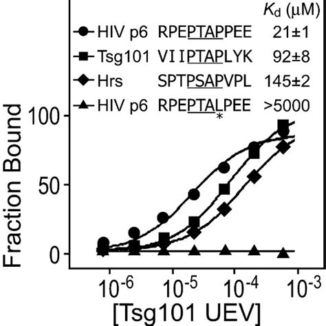 Domain Organization Of The HIV 1 Gag And Human Tsg101 And Hrs Proteins