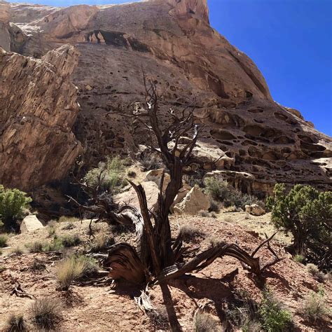 Exploring The San Rafael Swell Hiking Ding And Dang Canyons