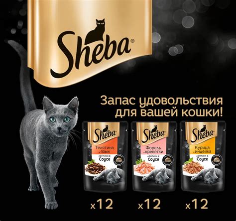 Набор паучей для кошек «Pleasure» — Sheba