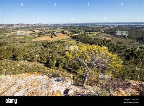 France Bouches Du Rh Ne Regional Natural Park Of Alpilles The Plain