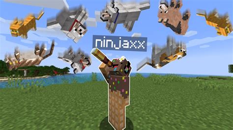 Minecraft Mais Il Pleut Des Chiens Et Des Chats Wtf Youtube