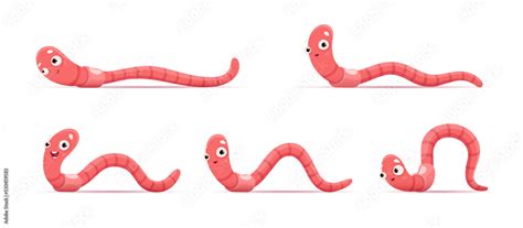 Fototapeta Cartoon Funny Worm Animation Of Crawl Earthworm Vector