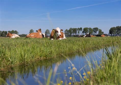 Inspiratiepolder Aarlanderveen PPP Agro Advies