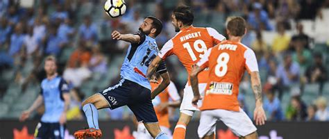sydney fc  brisbane roar fc prediction  december   betting