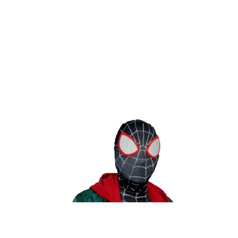 Spider Man Cosplay Sticker