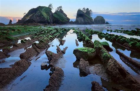 shi shi beach  point   arches washington trails association