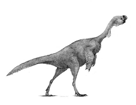 Citipati Paleo Art Dinosaur Art Prehistoric Animals