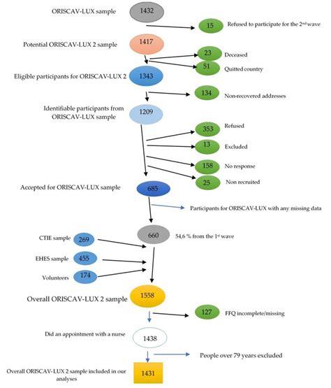 Nutrients Free Full Text Association Between Dietary Factors And