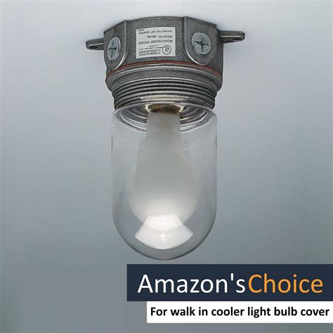 light bulb cover 2