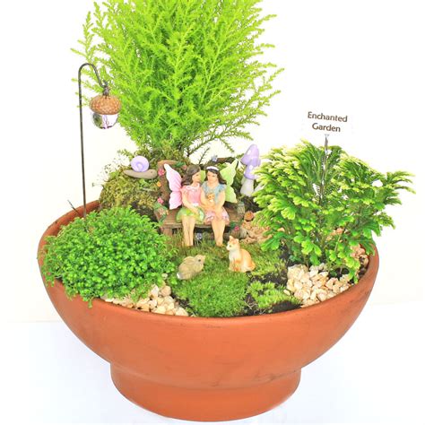 Fairy Garden Kits Fairy Garden Boxed Kits Fairy Gardens Uk