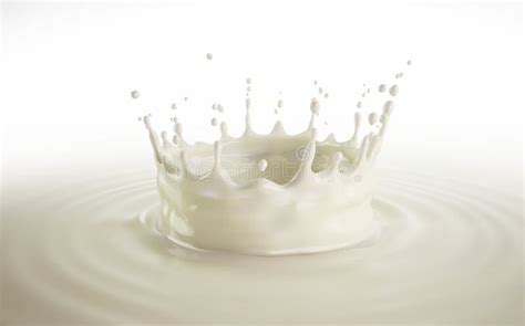 Milk Crown Splash Splashing In Milk Pool With Ripples Stock