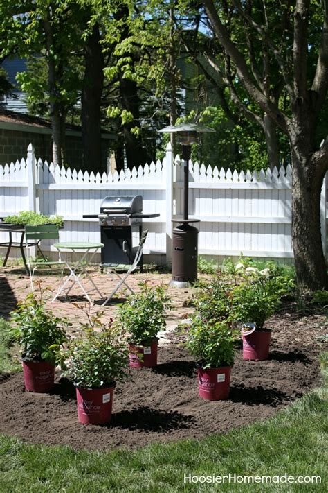 How to Design a Small Rose Garden - Hoosier Homemade