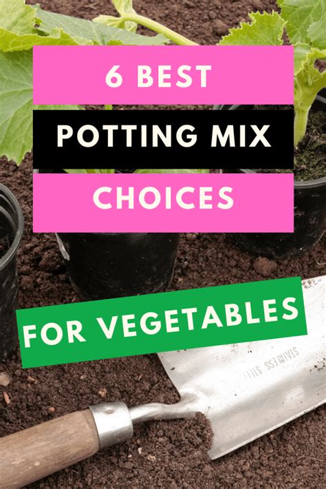 Best Potting Mix for Vegetables - The 6 Winners!