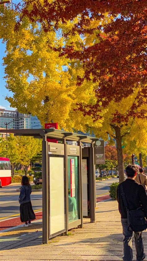 Autumn In South Korea 🍂 Koren