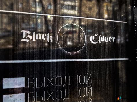 «Голубой» клуб «Черный клевер» опечатали - Общество - Newsler.ru
