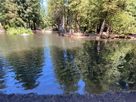 Rainbow Trout Farm Sandy All You Need To Know Before You Go