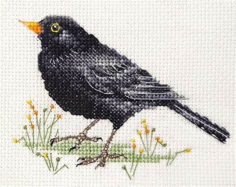 Blackbird Garden Bird Full Counted Cross Stitch Kit With All