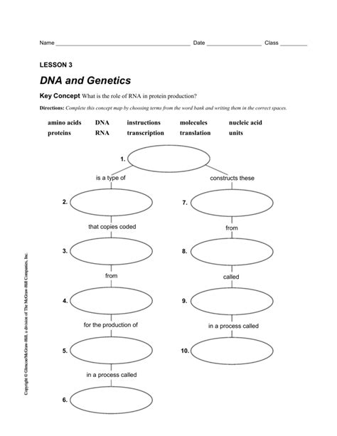 Dna And Genetics Lesson Answer Key