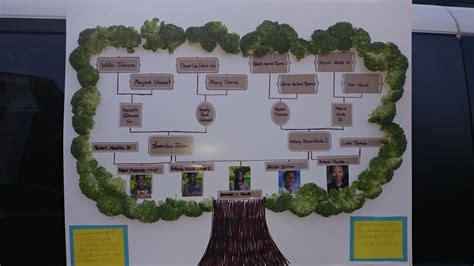 family tree school project familytree schoolproject diy family
