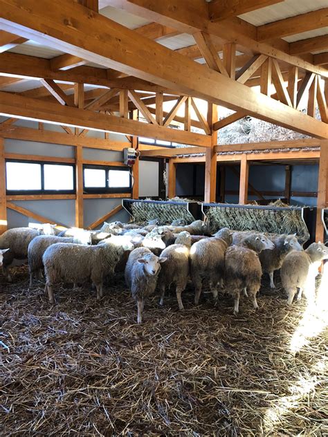 Домашняя ферма (58 фото) » НА ДАЧЕ ФОТО